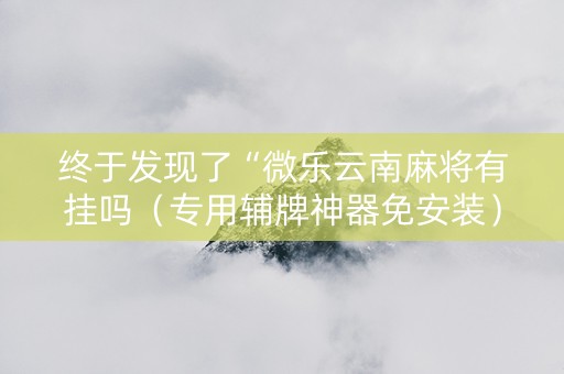终于发现了“微乐云南麻将有挂吗（专用辅牌神器免安装）