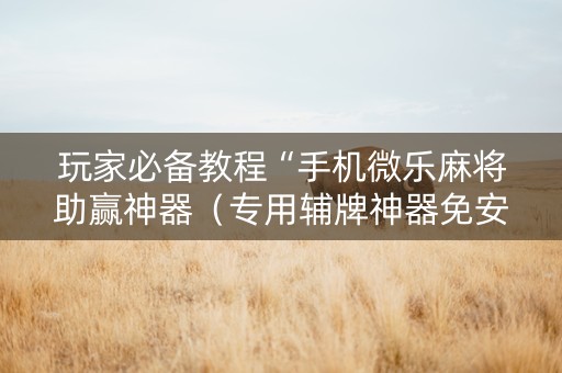 玩家必备教程“手机微乐麻将助赢神器（专用辅牌神器免安装）