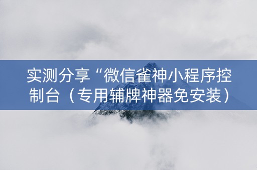 实测分享“微信雀神小程序控制台（专用辅牌神器免安装）