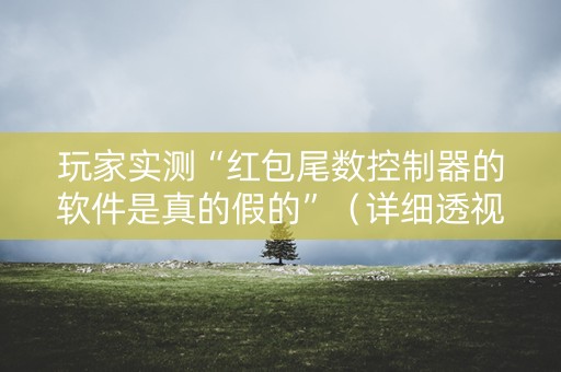 玩家实测“红包尾数控制器的软件是真的假的”（详细透视教程）-哔哩哔哩