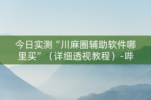 今日实测“川麻圈辅助软件哪里买”（详细透视教程）-哔哩哔哩