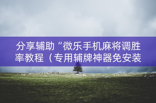 分享辅助“微乐手机麻将调胜率教程（专用辅牌神器免安装）