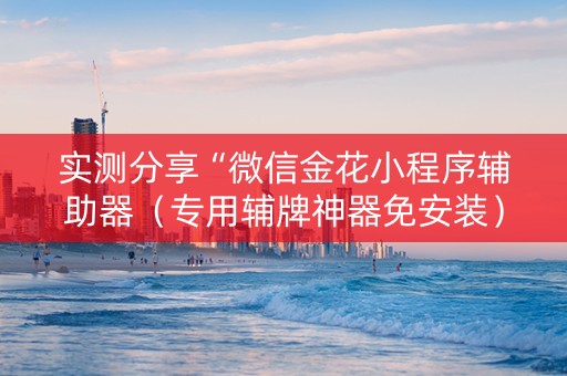 实测分享“微信金花小程序辅助器（专用辅牌神器免安装）