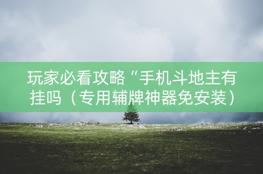 玩家必看攻略“手机斗地主有挂吗（专用辅牌神器免安装）
