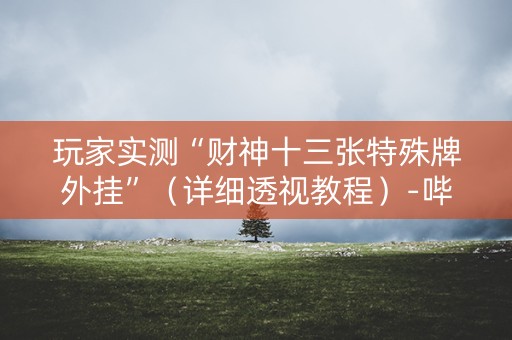 玩家实测“财神十三张特殊牌外挂”（详细透视教程）-哔哩哔哩