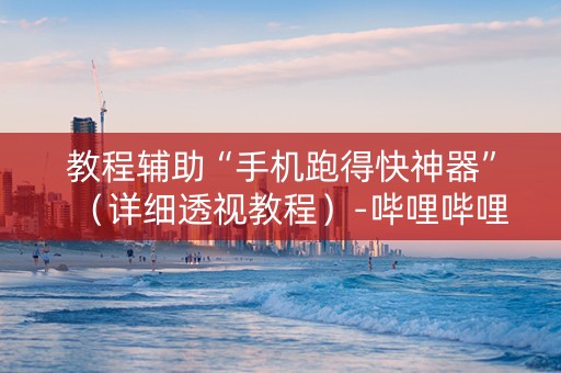 教程辅助“手机跑得快神器”（详细透视教程）-哔哩哔哩