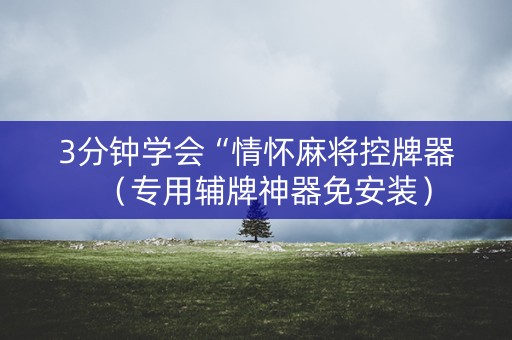 3分钟学会“情怀麻将控牌器（专用辅牌神器免安装）