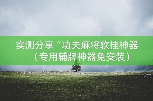 实测分享“功夫麻将软挂神器（专用辅牌神器免安装）