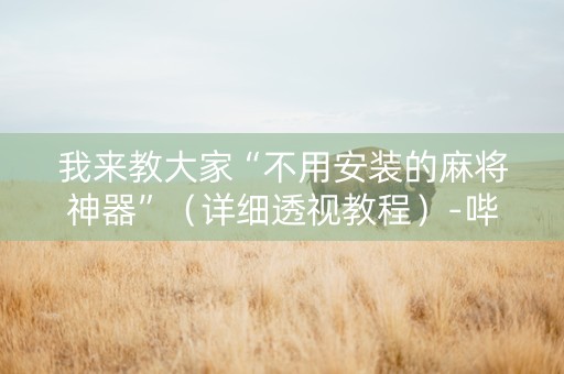 我来教大家“不用安装的麻将神器”（详细透视教程）-哔哩哔哩