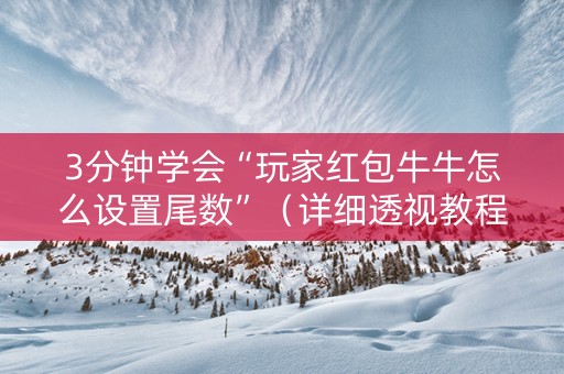 3分钟学会“玩家红包牛牛怎么设置尾数”（详细透视教程）-哔哩哔哩