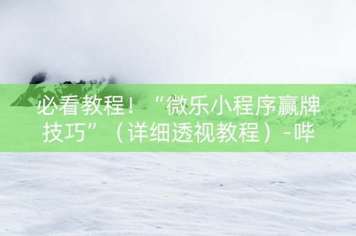 必看教程！“微乐小程序赢牌技巧”（详细透视教程）-哔哩哔哩
