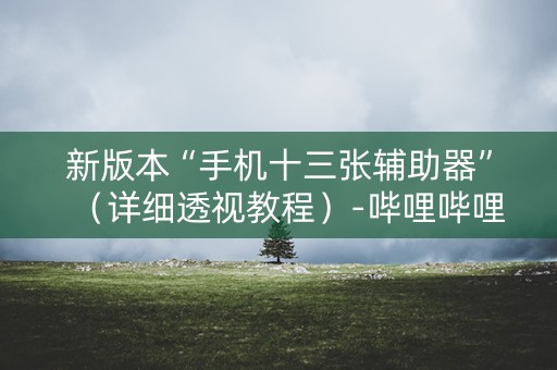 新版本“手机十三张辅助器”（详细透视教程）-哔哩哔哩