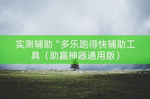 实测辅助“多乐跑得快辅助工具（助赢神器通用版）