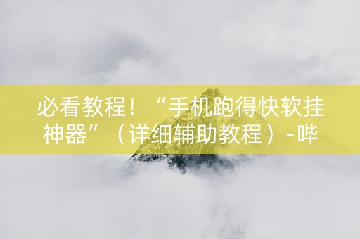 必看教程！“手机跑得快软挂神器”（详细辅助教程）-哔哩哔哩