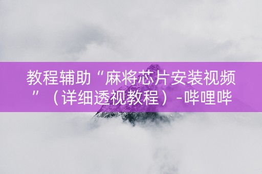 教程辅助“麻将芯片安装视频”（详细透视教程）-哔哩哔哩