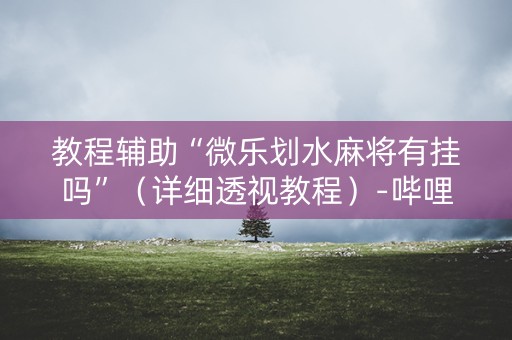 教程辅助“微乐划水麻将有挂吗”（详细透视教程）-哔哩哔哩