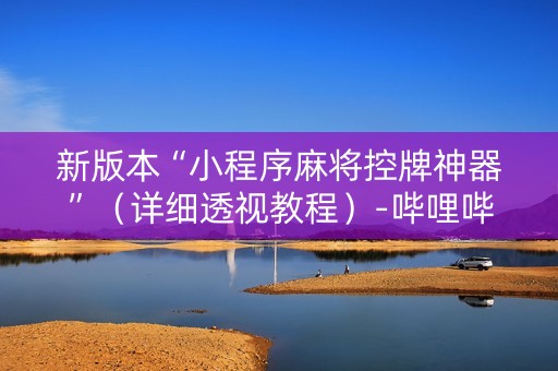 新版本“小程序麻将控牌神器”（详细透视教程）-哔哩哔哩