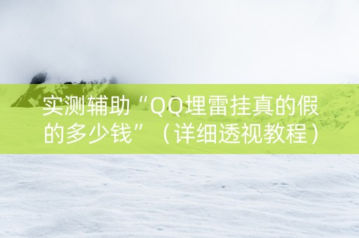 实测辅助“QQ埋雷挂真的假的多少钱”（详细透视教程）-哔哩哔哩