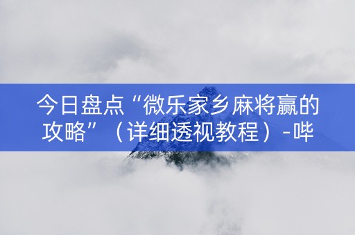 今日盘点“微乐家乡麻将赢的攻略”（详细透视教程）-哔哩哔哩