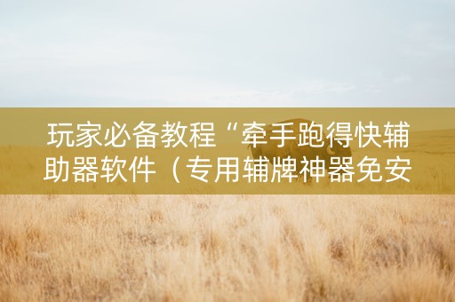玩家必备教程“牵手跑得快辅助器软件（专用辅牌神器免安装）