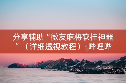 分享辅助“微友麻将软挂神器”（详细透视教程）-哔哩哔哩