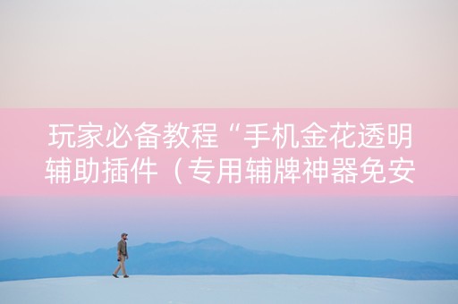 玩家必备教程“手机金花透明辅助插件（专用辅牌神器免安装）
