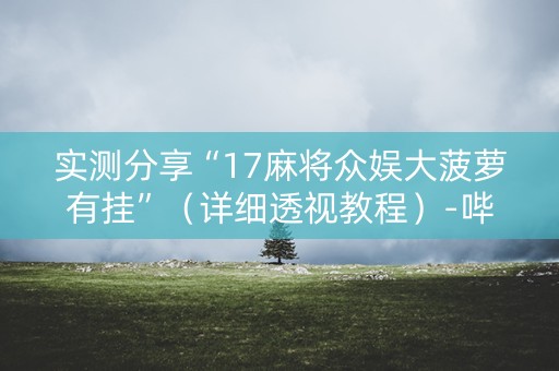 实测分享“17麻将众娱大菠萝有挂”（详细透视教程）-哔哩哔哩