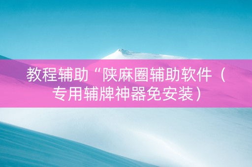 教程辅助“陕麻圈辅助软件（专用辅牌神器免安装）