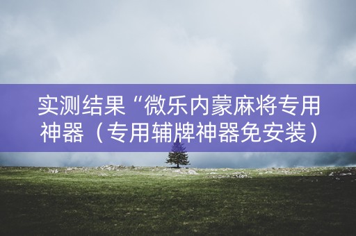 实测结果“微乐内蒙麻将专用神器（专用辅牌神器免安装）