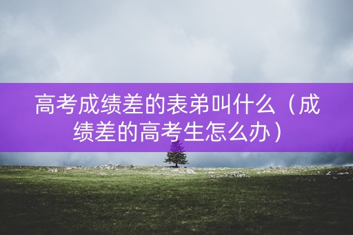 高考成绩差的表弟叫什么（成绩差的高考生怎么办）