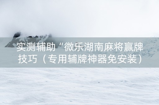 实测辅助“微乐湖南麻将赢牌技巧（专用辅牌神器免安装）