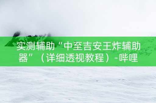 实测辅助“中至吉安王炸辅助器”（详细透视教程）-哔哩哔哩