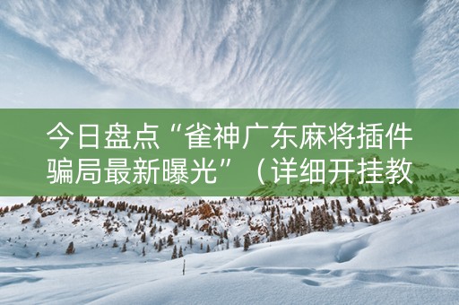 今日盘点“雀神广东麻将插件骗局最新曝光”（详细开挂教程）-哔哩哔哩
