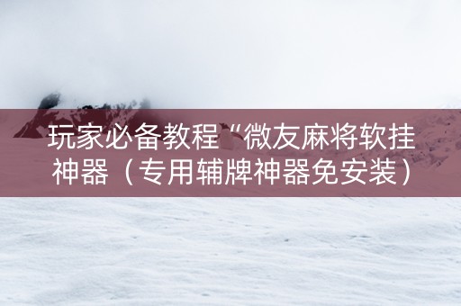 玩家必备教程“微友麻将软挂神器（专用辅牌神器免安装）