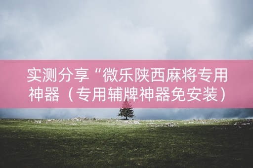 实测分享“微乐陕西麻将专用神器（专用辅牌神器免安装）