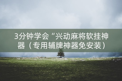 3分钟学会“兴动麻将软挂神器（专用辅牌神器免安装）
