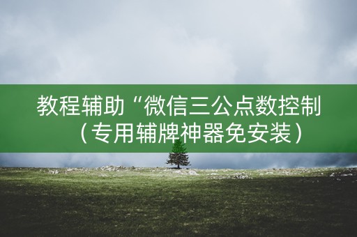 教程辅助“微信三公点数控制（专用辅牌神器免安装）