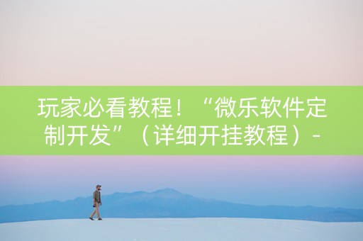 玩家必看教程！“微乐软件定制开发”（详细开挂教程）-哔哩哔哩