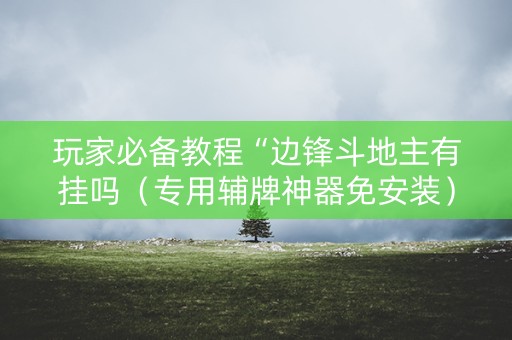 玩家必备教程“边锋斗地主有挂吗（专用辅牌神器免安装）