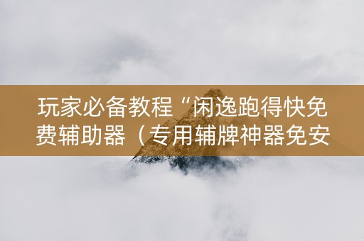 玩家必备教程“闲逸跑得快免费辅助器（专用辅牌神器免安装）