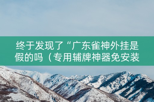 终于发现了“广东雀神外挂是假的吗（专用辅牌神器免安装）