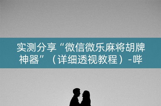 实测分享“微信微乐麻将胡牌神器”（详细透视教程）-哔哩哔哩