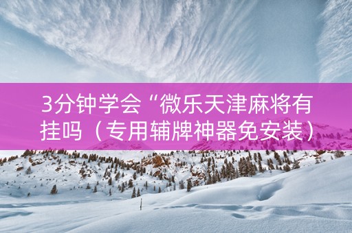 3分钟学会“微乐天津麻将有挂吗（专用辅牌神器免安装）