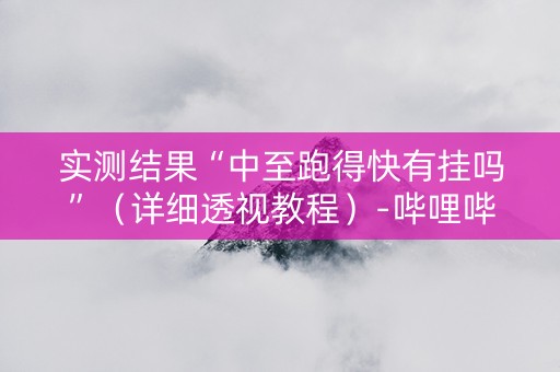 实测结果“中至跑得快有挂吗”（详细透视教程）-哔哩哔哩