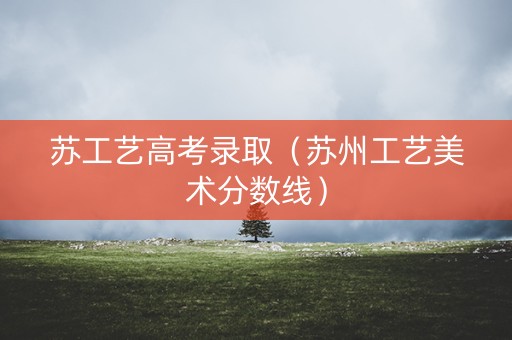 苏工艺高考录取（苏州工艺美术分数线）