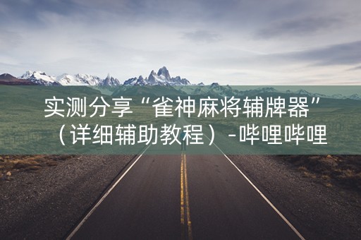 实测分享“雀神麻将辅牌器”（详细辅助教程）-哔哩哔哩