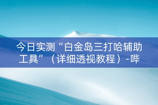 今日实测“白金岛三打哈辅助工具”（详细透视教程）-哔哩哔哩