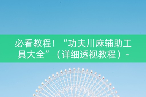 必看教程！“功夫川麻辅助工具大全”（详细透视教程）-哔哩哔哩