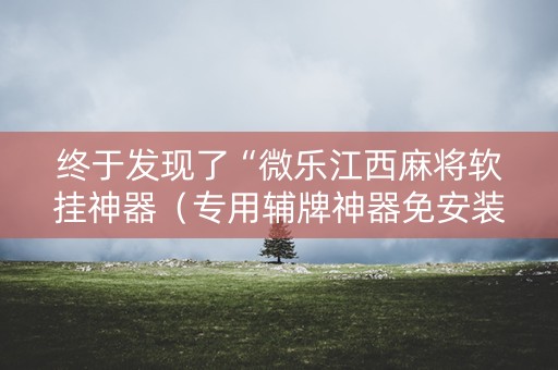 终于发现了“微乐江西麻将软挂神器（专用辅牌神器免安装）