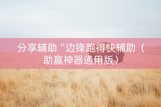 分享辅助“边锋跑得快辅助（助赢神器通用版）